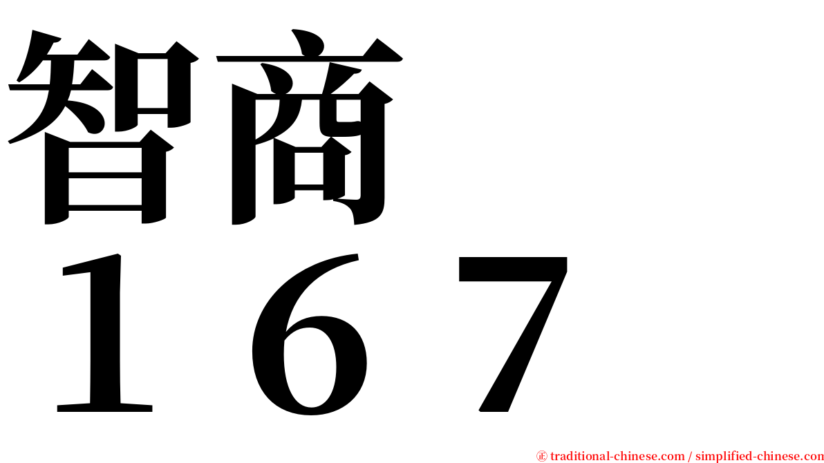 智商　　１６７ serif font